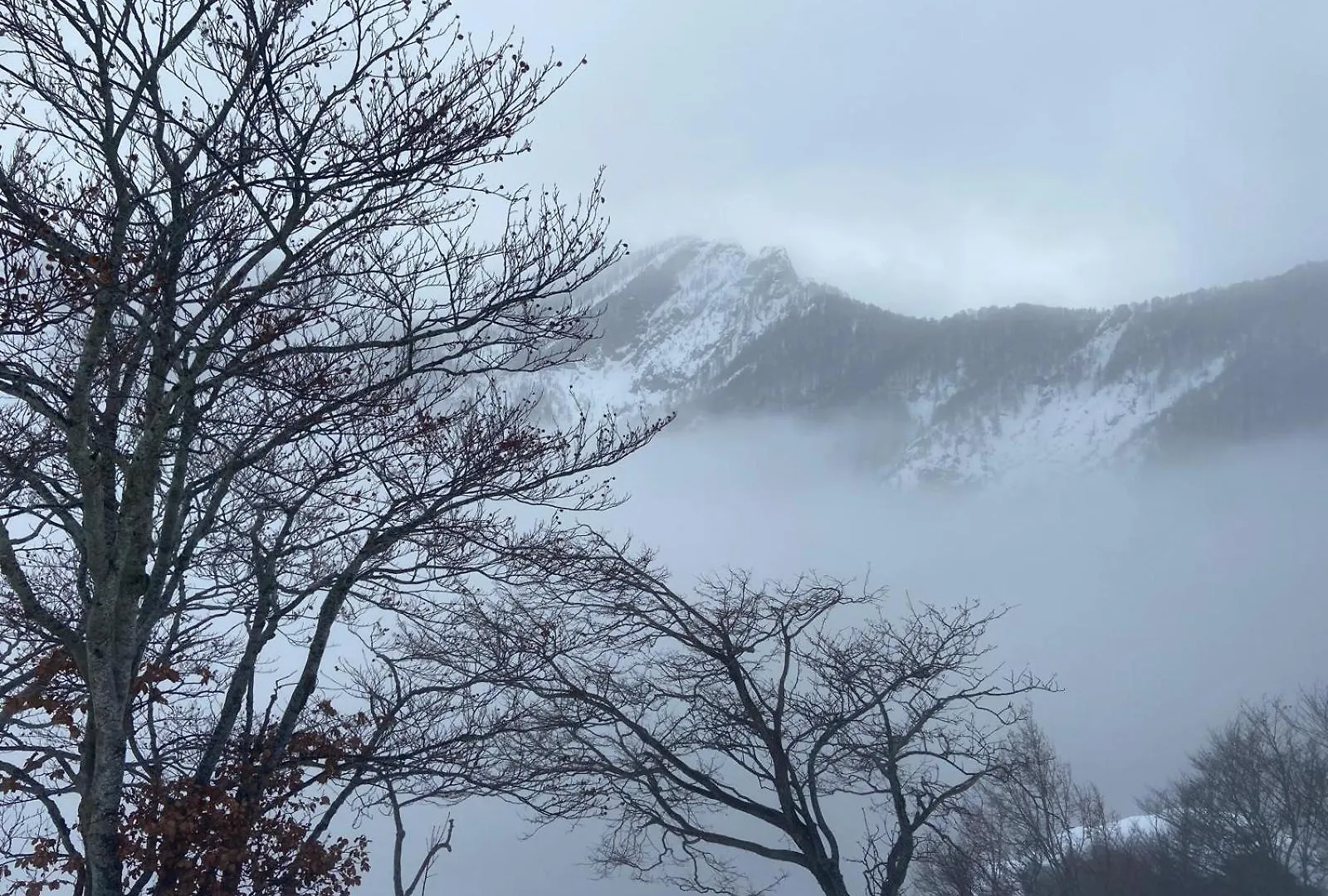 Apartment Prima Del Cielo - Appartamento Monti Esino Lario